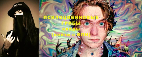 не бодяженный Богородицк