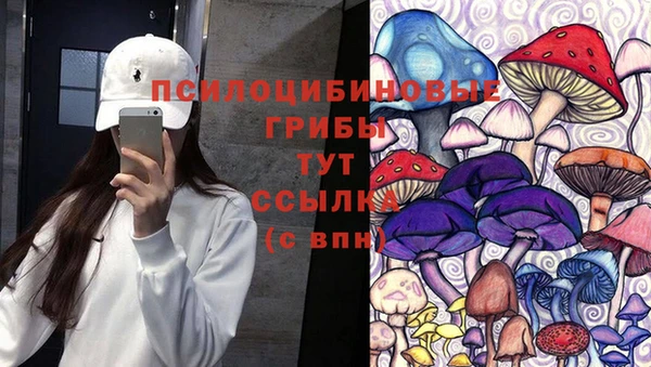 mdma Богородск