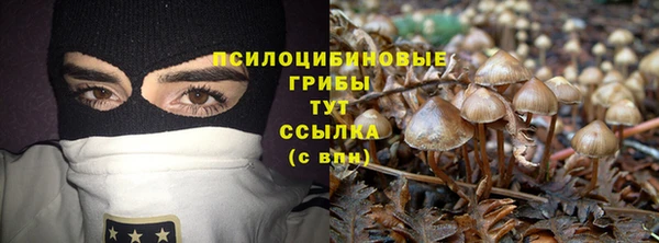 MESCALINE Богданович