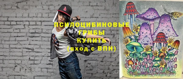 не бодяженный Богородицк