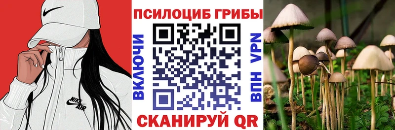 Купить где  Михайловск  Галлюциногенные грибы Psilocybine cubensis 